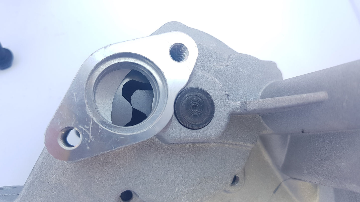 AUDI TT 2.0 FSI TFSI Oil Pump Balance Shaft Delete Kit Inc Instructions BWA Discounter for FEDER CAR s.r.l. ITALY