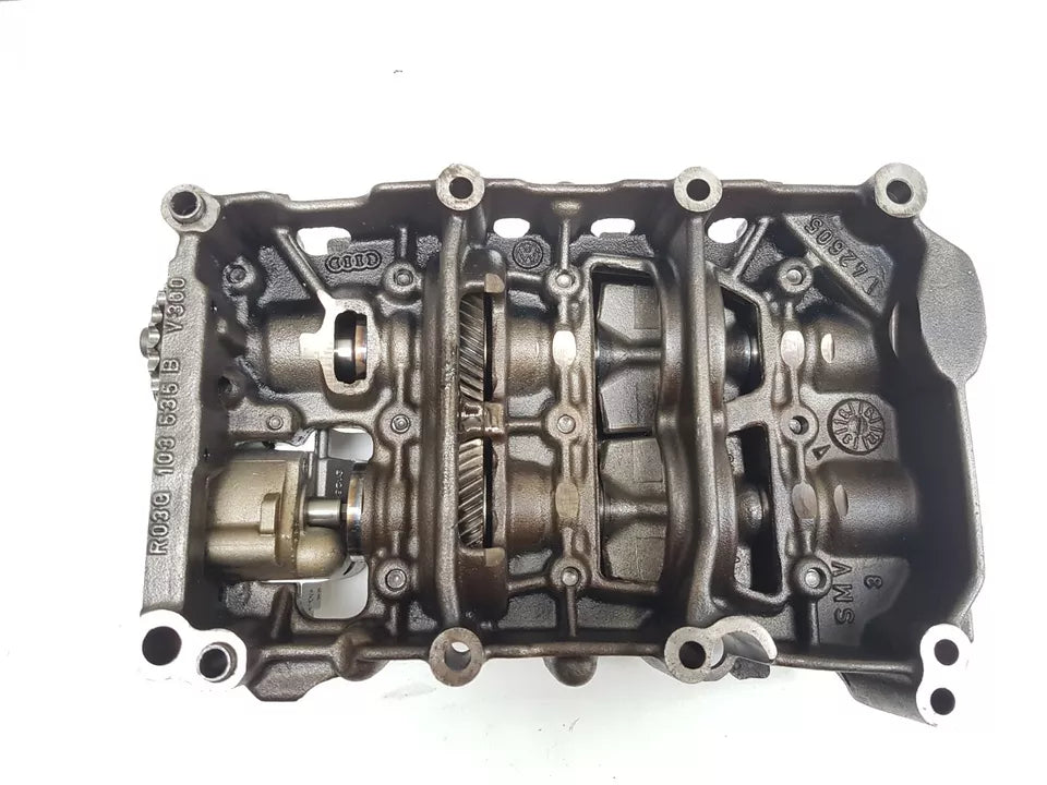 Audi A4 A6 2.0 TDI full recondition oil pump 03G103537B chain driven 2005 BLB